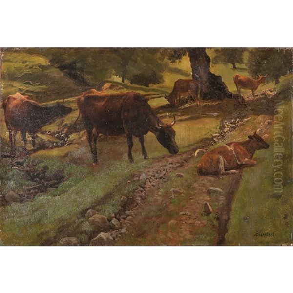 Cows Resting Oil Painting by Albert Bierstadt