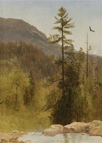 White Mountains, New Hampshire Oil Painting by Albert Bierstadt