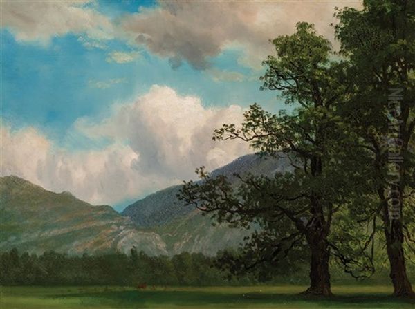 Landscape With Mountain And Trees Oil Painting by Albert Bierstadt