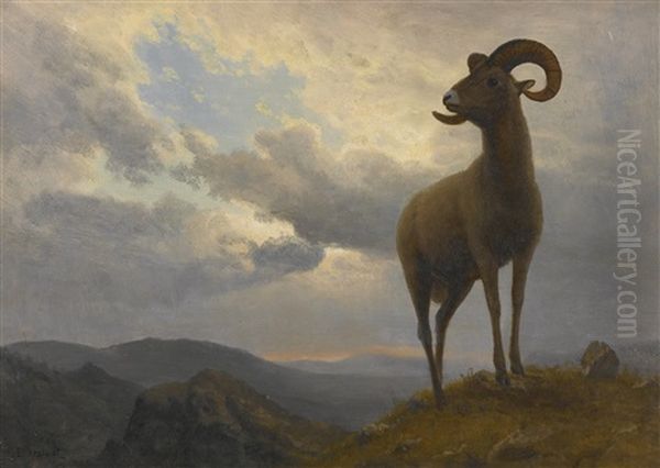 Bighorn Sheep Oil Painting by Albert Bierstadt