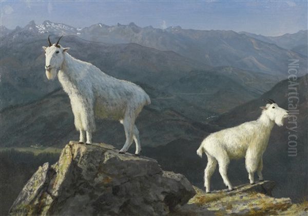 Mountain Goats Oil Painting by Albert Bierstadt