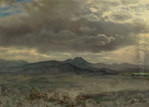 Cloud Study In San Francisco Oil Painting by Albert Bierstadt