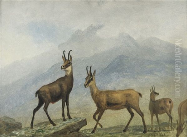 Chamois Oil Painting by Albert Bierstadt