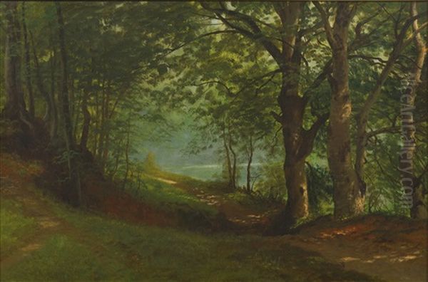 Path By A Lake In A Forest Oil Painting by Albert Bierstadt