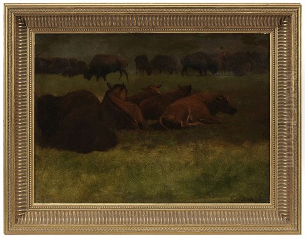 Buffalo Resting Oil Painting by Albert Bierstadt