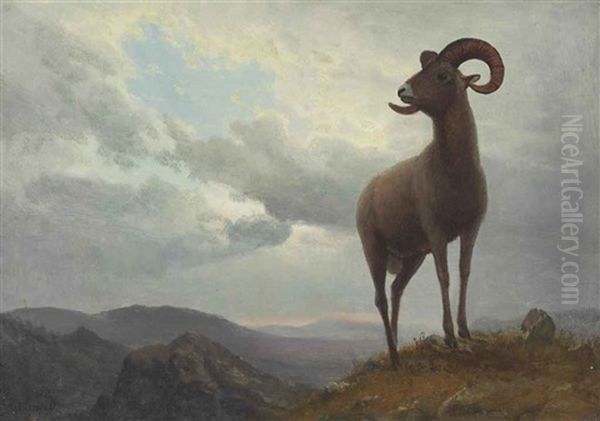 Long Horned Sheep Oil Painting by Albert Bierstadt