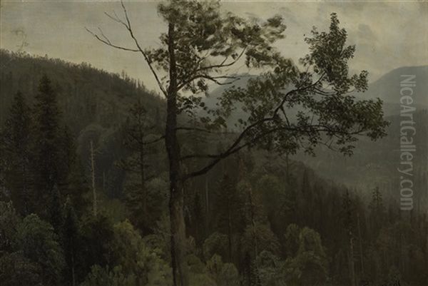 Tree Covered Mountains Oil Painting by Albert Bierstadt