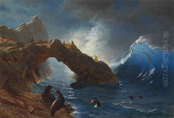 Seals On The Rocks Oil Painting by Albert Bierstadt