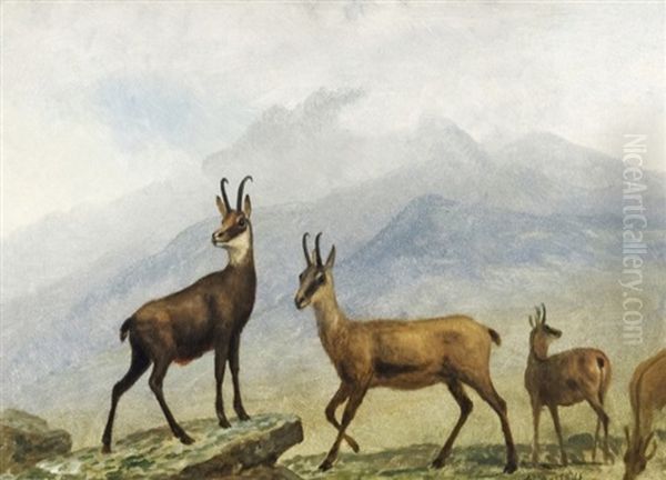 Chamois, Switzerland Oil Painting by Albert Bierstadt