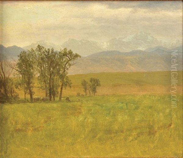 Colorado Scene Oil Painting by Albert Bierstadt