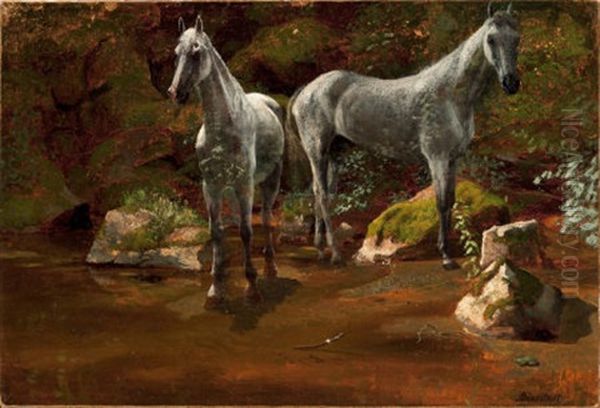 Wild Horses (study) Oil Painting by Albert Bierstadt