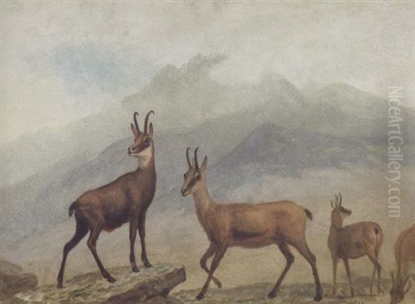 Chamois, Switzerland Oil Painting by Albert Bierstadt