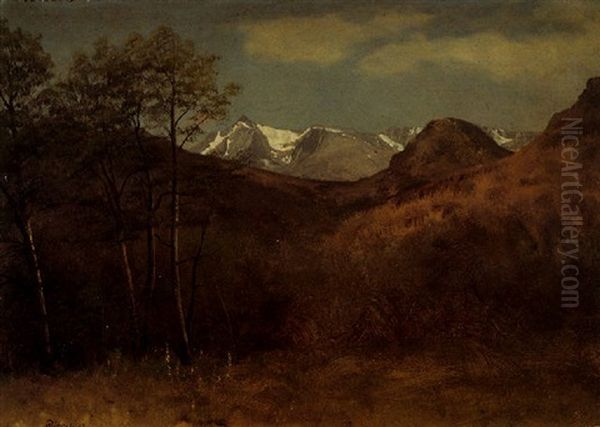 Grassy Hills With Snow Capped Mountains Beyond Oil Painting by Albert Bierstadt