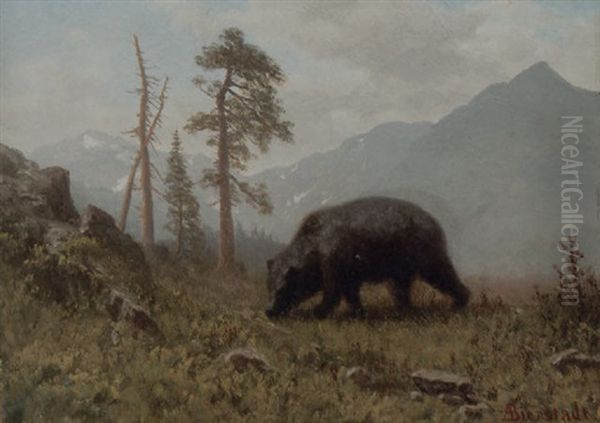 A Grizzly Bear Oil Painting by Albert Bierstadt