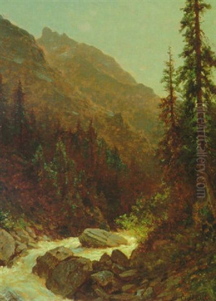 Rocky Mountain Stream Oil Painting by Albert Bierstadt