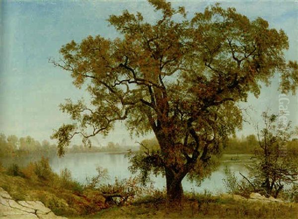 A View Of Sacramento Oil Painting by Albert Bierstadt