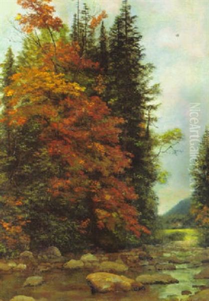 Forest Interior Oil Painting by Albert Bierstadt