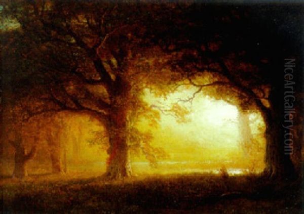 California Oaks Oil Painting by Albert Bierstadt