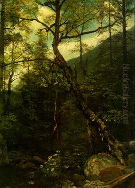 Woodland Interior, Catskills Oil Painting by Albert Bierstadt