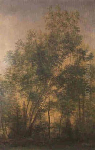 Trees Oil Painting by Albert Bierstadt