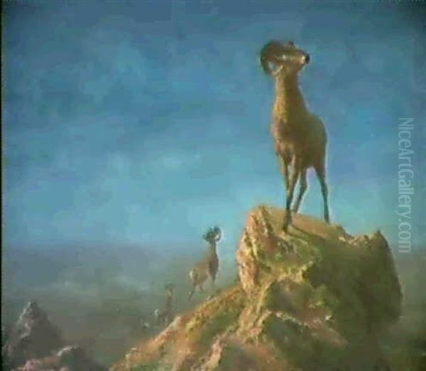 Rocky Mountain Big Horns Oil Painting by Albert Bierstadt