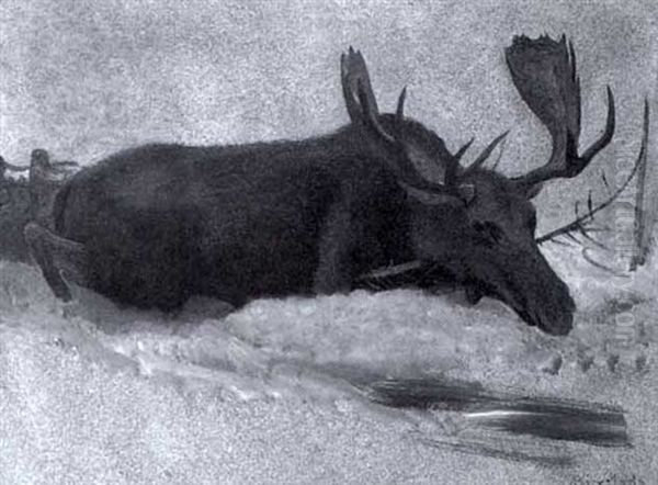 Moose In The Snow Oil Painting by Albert Bierstadt