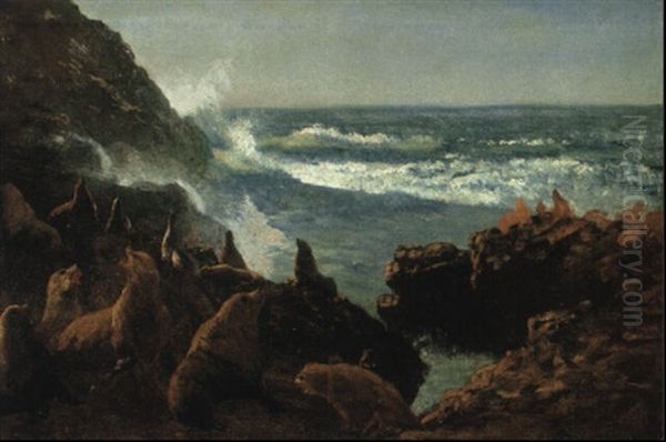 Sea Lions, Farallon Islands Oil Painting by Albert Bierstadt