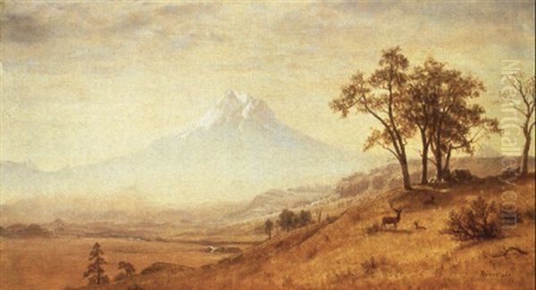 Mount Hood Oil Painting by Albert Bierstadt