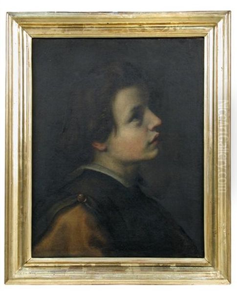 Head Of A Youth In Profile Looking Upwards And To The Right Oil Painting by Giovanni Bilivert