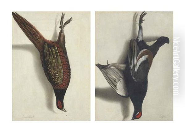 A Trompe L'oeil Of A Hanging Pheasant (+ A Trompe L'oeil Of A Hanging Black Grouse; Pair) Oil Painting by Cornelis (Bilcius) Biltius