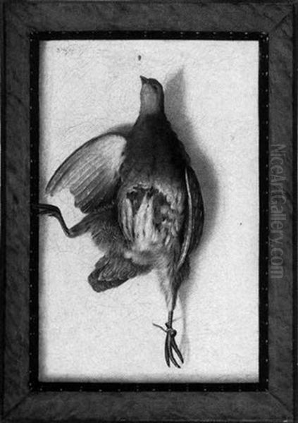 A Still Life Of A Dead Bird Oil Painting by Cornelis (Bilcius) Biltius