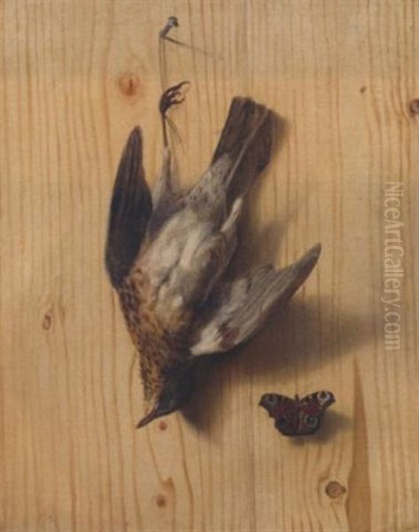 A Trompe L'oeil Of A Thrush Suspended From A Nail And A Butterfly Oil Painting by Jacobus Biltius