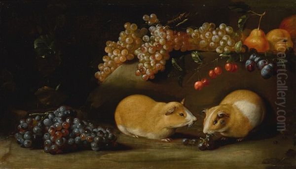 Still Life Of Grapes And Other Fruit With Two Guinea Pigs Beside A Rocky Ledge Oil Painting by Bartolommeo Bimbi