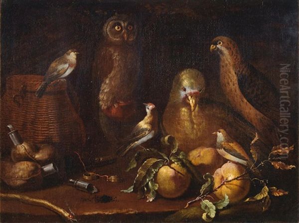 An Owl, Parrot, Hawk And Finches, With Fruit And Hunting Paraphernalia Oil Painting by Bartolommeo Bimbi