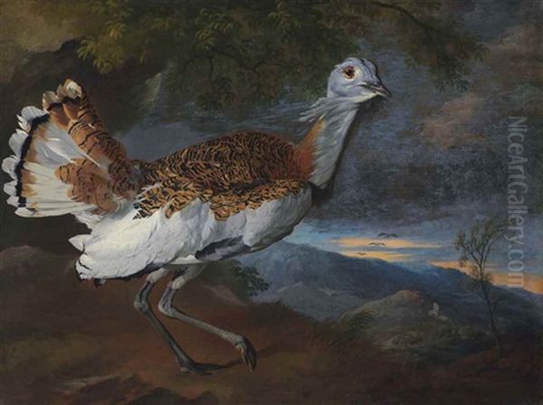 A Great Bustard Before A Hilly Landscape At Dusk Oil Painting by Bartolommeo Bimbi