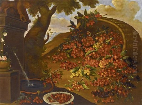 Fruchtestilleben Mit Kirschen Oil Painting by Bartolommeo Bimbi