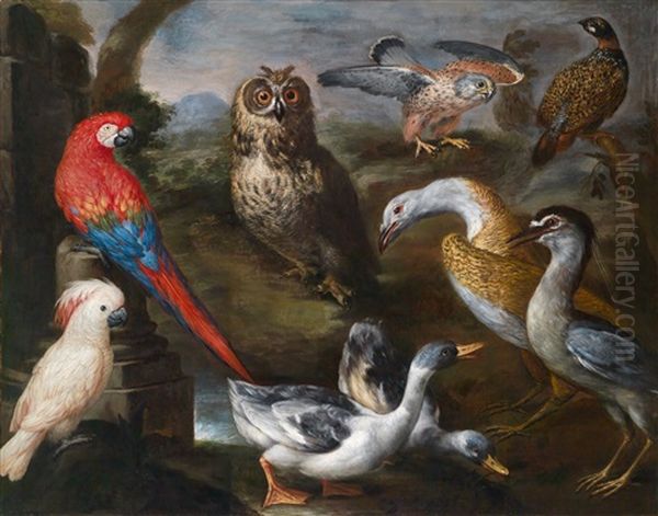 Exotische Vogel In Den Volieren Grosherzog Cosimos Iii. Von Toskana: Enten, Eine Eule, Ein Falke Und Zwei Papageien In Einer Weiten Landschaft Oil Painting by Bartolommeo Bimbi