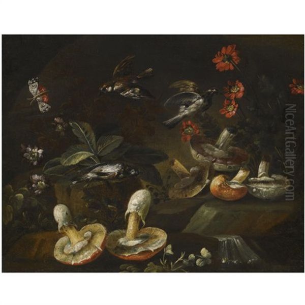 A Forest Floor Still Life With Mushrooms, Flowers, Birds And A Butterfly Oil Painting by Bartolommeo Bimbi