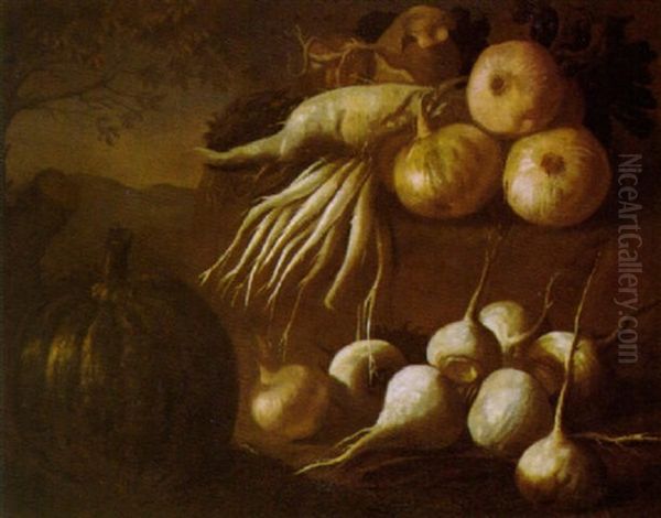 Natura Morta Con Cipolle E Zucca Oil Painting by Bartolommeo Bimbi