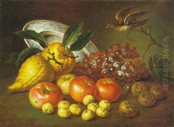 Natura Morta Con Cedri Ed Uccellino Oil Painting by Bartolommeo Bimbi