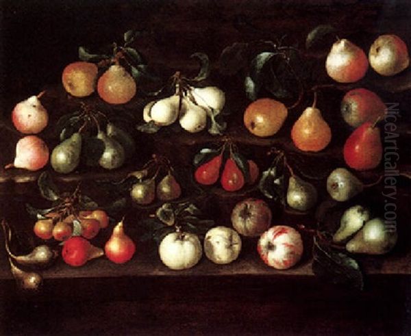 A Still Life Of Peaches, Pears, Apples And Figs, All On Ledges Oil Painting by Bartolommeo Bimbi