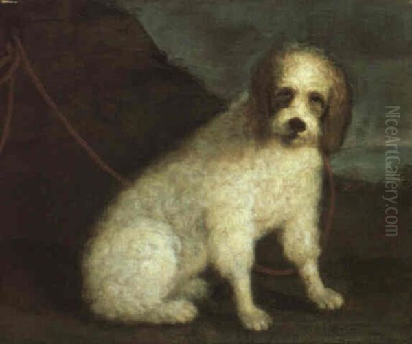 Cane Entro Paesaggio Boscoso Oil Painting by Bartolommeo Bimbi