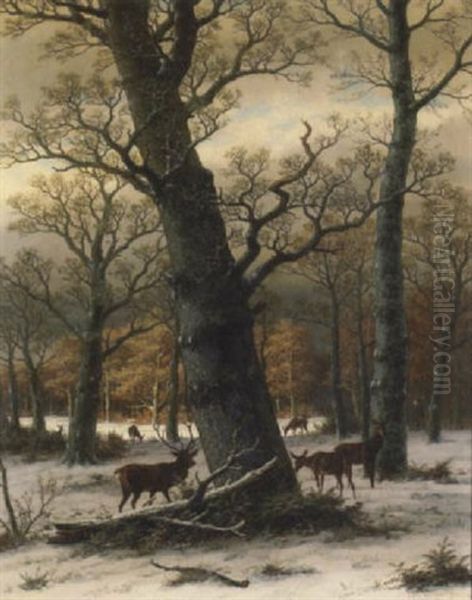 A Wooded Clearing Under Snowfall With Deer Grazing Oil Painting by Caesar Bimmermann