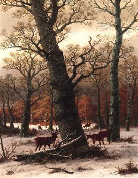 Rotwild Auf Verschneiter Waldlichtung Oil Painting by Caesar Bimmermann