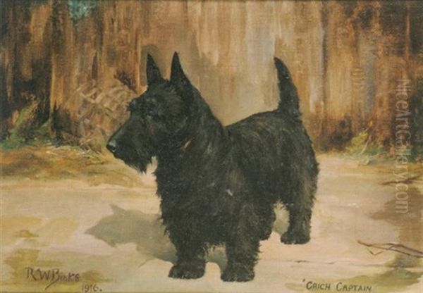 Scottish Terrier 