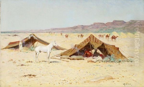 Le Poulain Au Campement, Bou Saada Oil Painting by Alphonse Birck