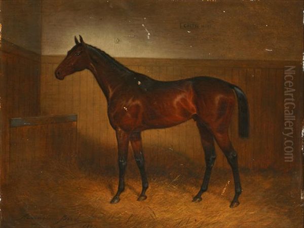 Galtee More, A Bay Horse In A Stable Oil Painting by John Alexander Harington Bird