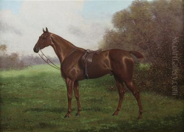 Birdcatcher A Chestnut Hunter Oil Painting by John Alexander Harington Bird