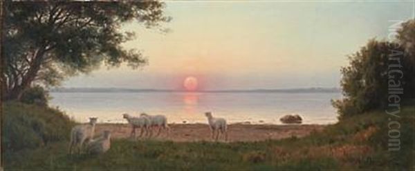 Solnedgang Paa Faeno Ved Lillebelt - Sunset On Faeno By Little Belt Oil Painting by Axel Birkhammer