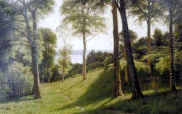 Waldlandschaft Auf Fanoe Oil Painting by Axel Birkhammer